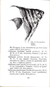 Zakldn a drba akvria, 1975